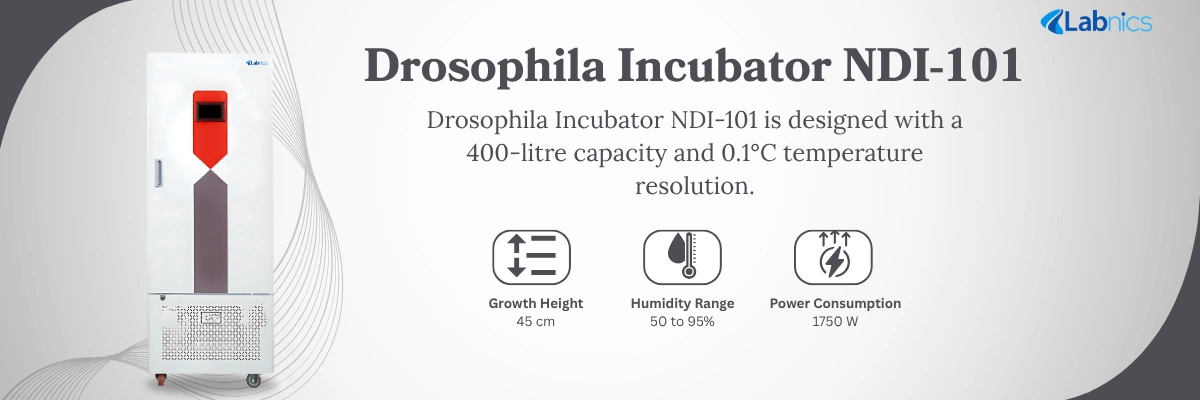 Drosophila Incubator NDI-101