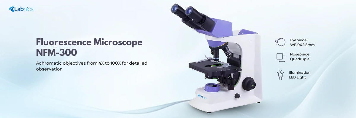 Fluorescence Microscope NFM-300